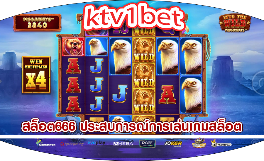 สล็อต666 ประสบการณ์การเล่นเกมสล็อตออนไลน์ให้เป็นส่วนตัว